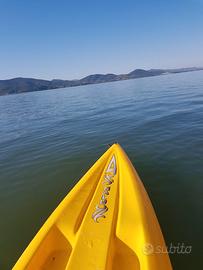 Stand Up Paddle Kayak