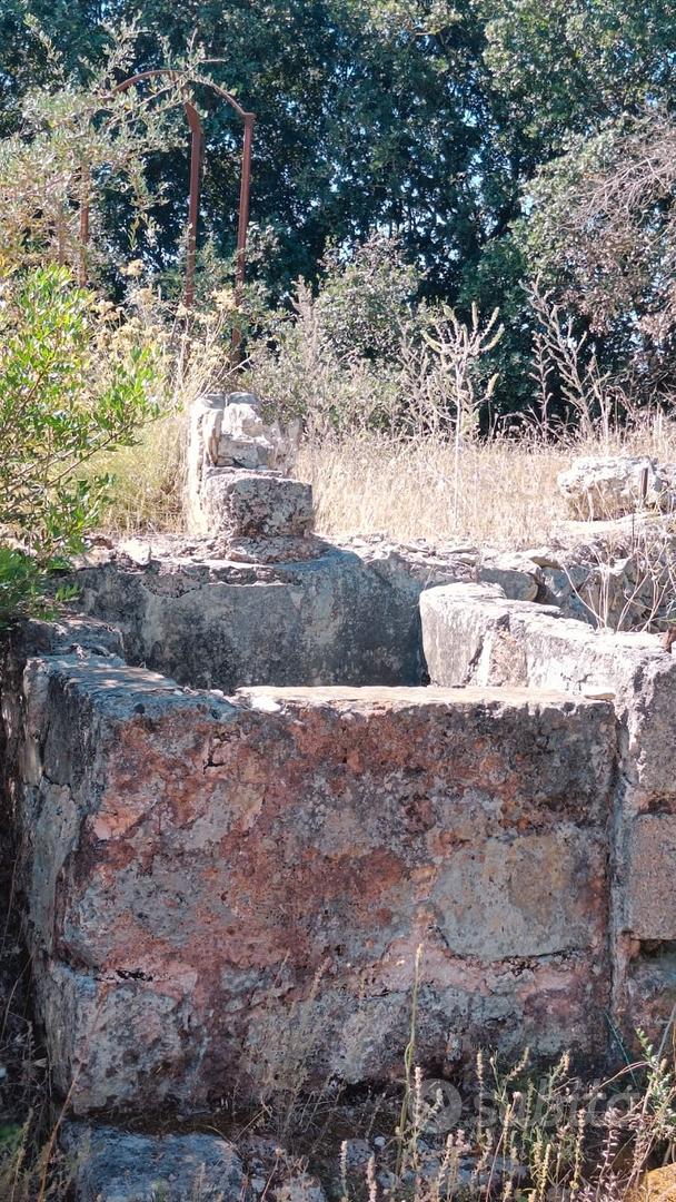 Terreno agricolo - Vista 3