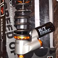 Minarelli Polini Evolution Malossi mhr team 