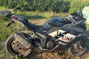 Ninja 300 sbiellata