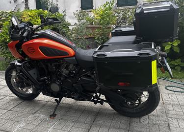 Harley Davidson Panamerica 2024