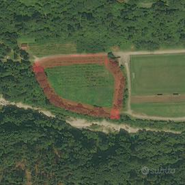 Terreno agricolo Raveo Carnia