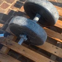 MANUBRIO PALESTRA