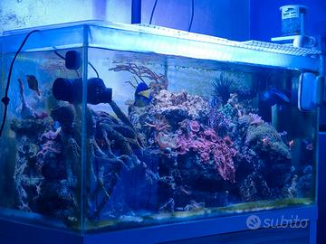 acquario marino 140 litri 