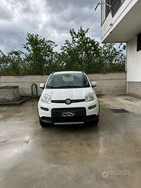 Fiat panda 4x4 wild