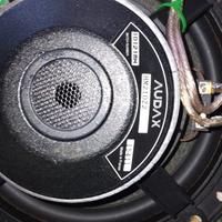 woofer Audax 