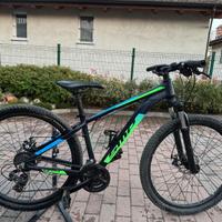 Bici mountain bike