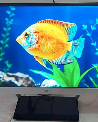 Monitor HP 23 pollici full hd HDMI VGA perfetto.