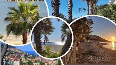 Vacanza al Mare - SAN BARTOLOMEO AL MARE (IM)