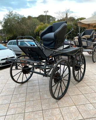 Carrozza Marathon da gara (059)