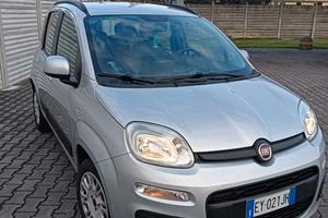 Fiat panda Grigio