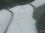 Immagine 8
