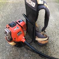 Decespugliatore echo