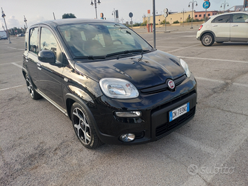 Panda Hybrid sport
