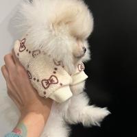Spitz tedesco nano, volpino di Pomerania