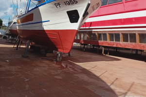 Barca peschereccio+ licenza +volvo penta 238hp