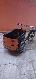 BABBOE CARGO DOG