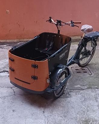 BABBOE CARGO DOG