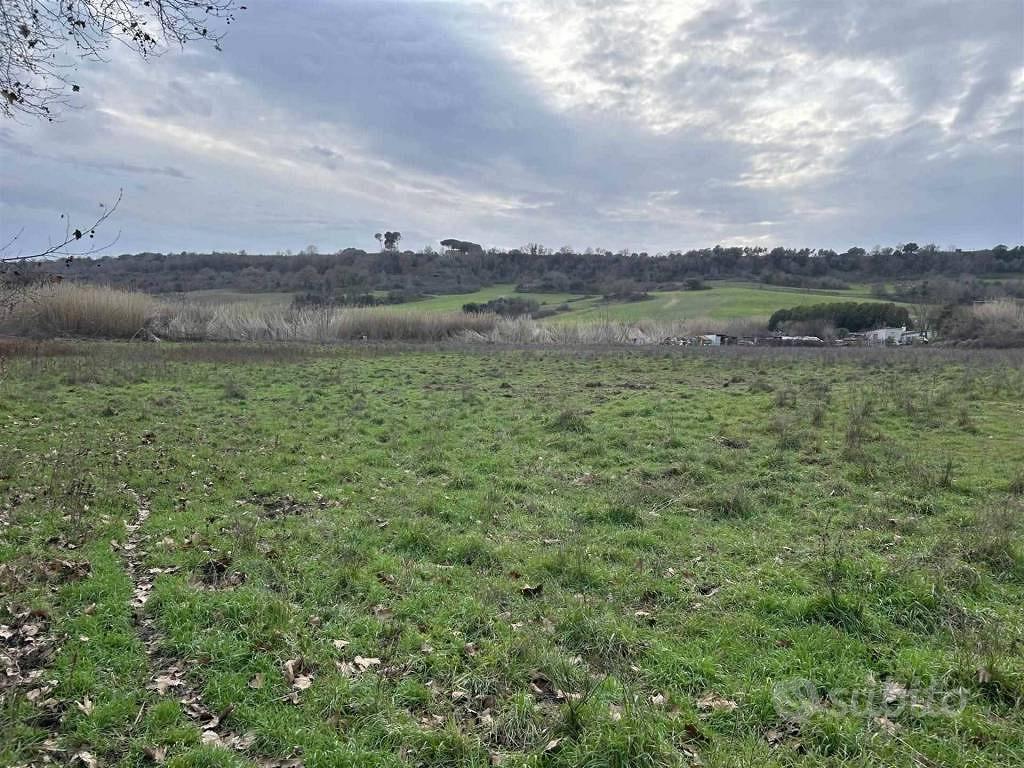 Terreno di 13000 m² a Tuscania - Vista 4