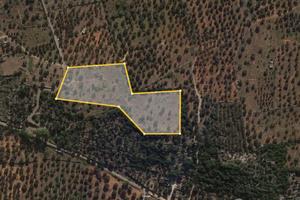 Terreno agricolo edificabile a Specchia