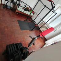 Home gym marbo bluegym e lacertosus