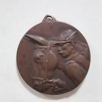 Medaglia in bronzo alpini