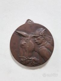 Medaglia in bronzo alpini