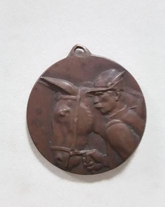 Medaglia in bronzo alpini