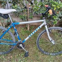 Bicicletta Grandis MTB 26'