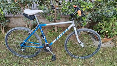 Bicicletta Grandis MTB 26'