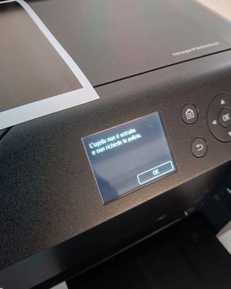 Stampante canon image prograf 1000