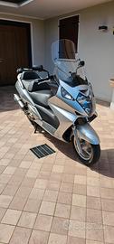 Silver wing 600