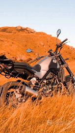 Benelli Leoncino 500 - 2019