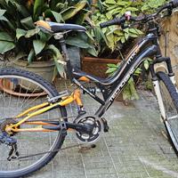 Bicicletta Tecnobike