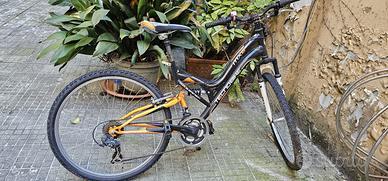 Bicicletta Tecnobike