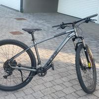 Bici da Ragazzo  - Raggio 29