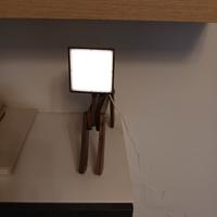 lampada a forma di cane