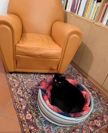 Poltrona Frau Vanity Fair