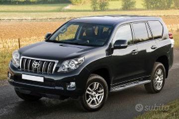 Ricambi Toyota Land Cruiser 2013 50th anniversary