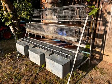 Allevamento conigli gabbia