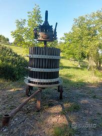torchio idraulico per uva