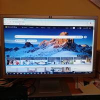 Monitor HP 20 Pollici