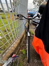 Bicicletta usata adulti donna