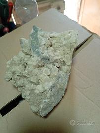 minerale di aragonite 