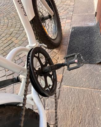 Bicicletta pieghevole
