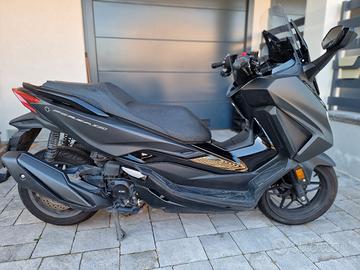 Honda Forza 350 (12/23)