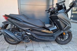 Honda Forza 350 (12/23)