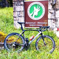Giant TCR XL