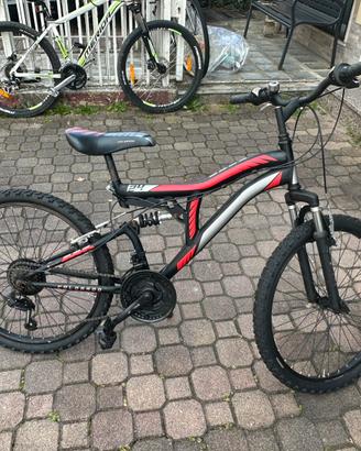 Mtb 24”