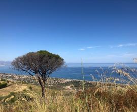 Vendita terreno agricolo cefalù (PA)